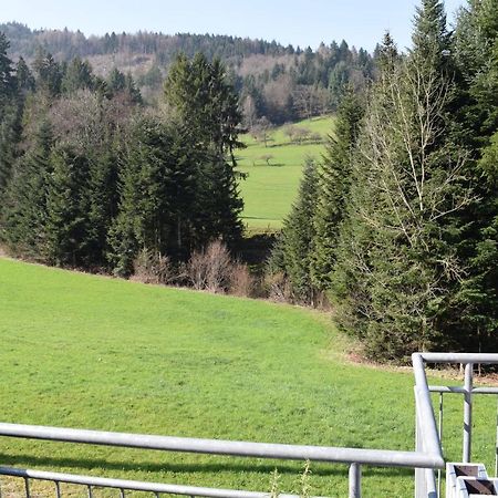 Ferienwohnung Im Dettenbachtal Waldkirch Εξωτερικό φωτογραφία