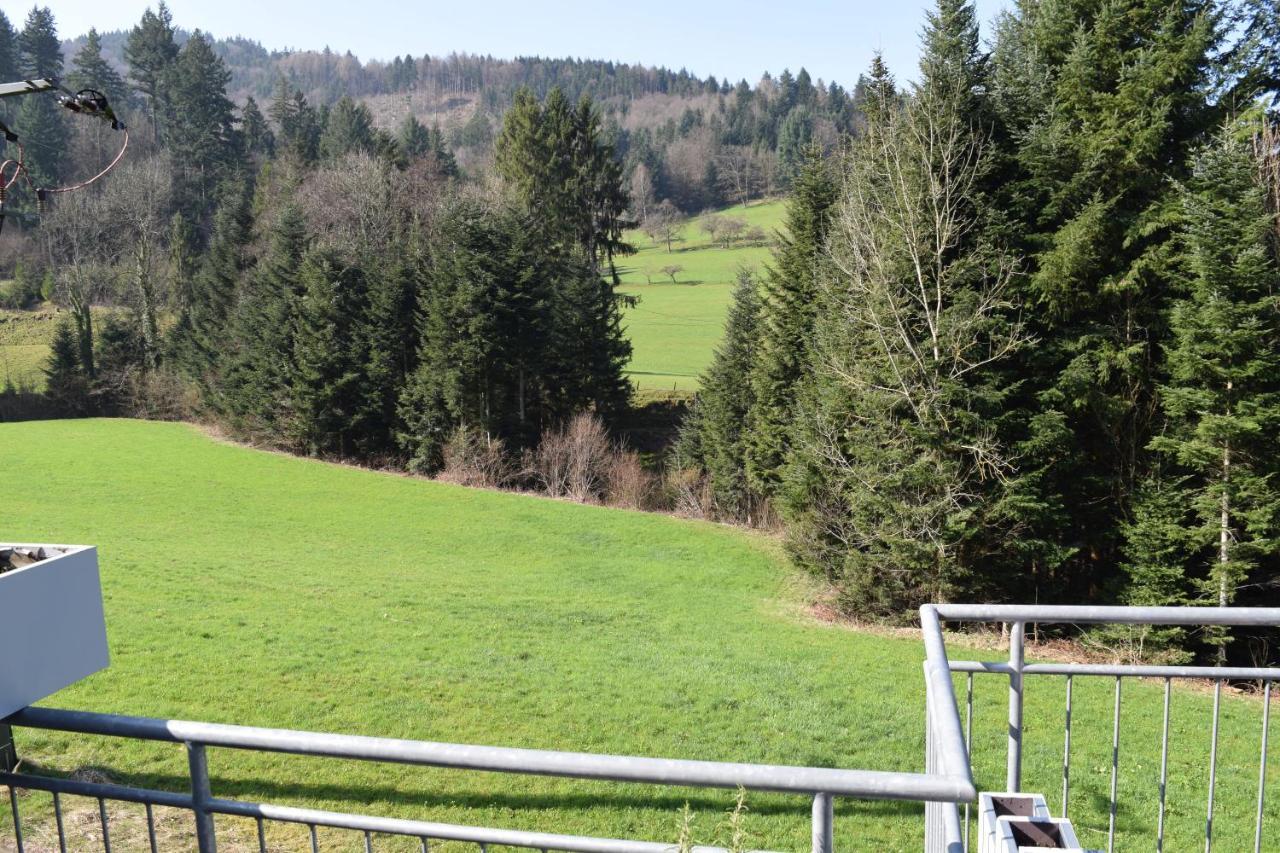 Ferienwohnung Im Dettenbachtal Waldkirch Εξωτερικό φωτογραφία