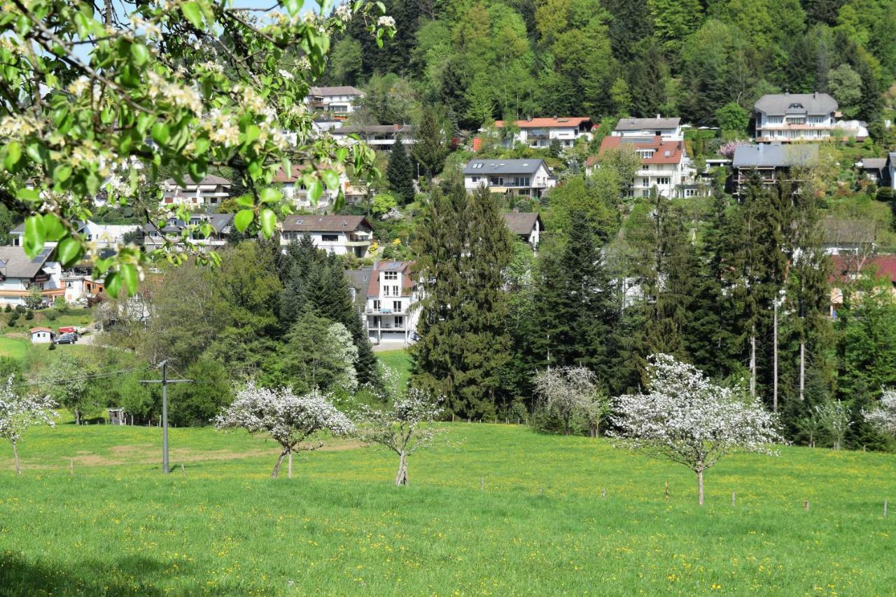 Ferienwohnung Im Dettenbachtal Waldkirch Εξωτερικό φωτογραφία