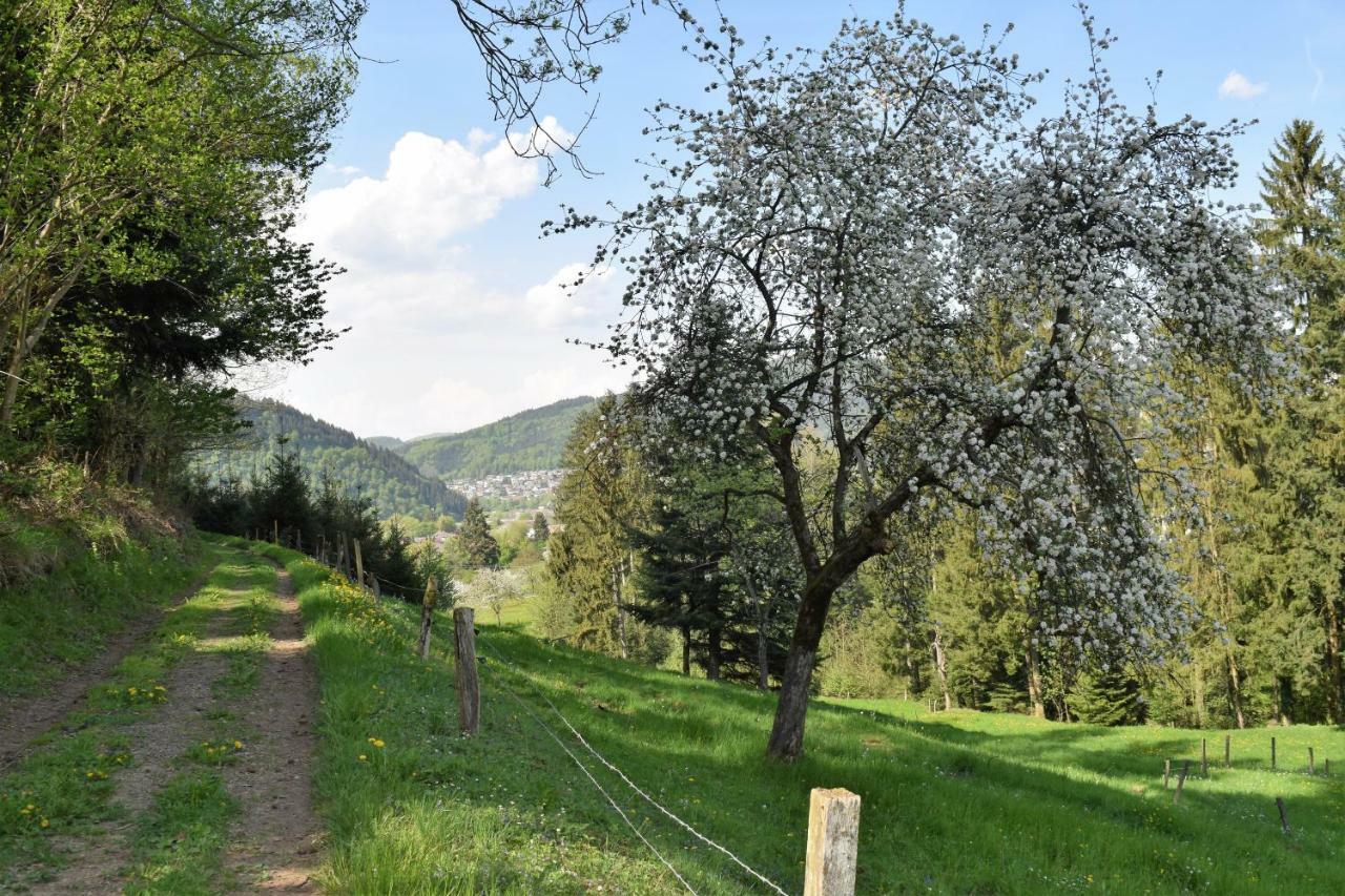 Ferienwohnung Im Dettenbachtal Waldkirch Εξωτερικό φωτογραφία