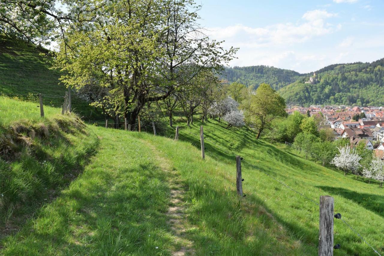 Ferienwohnung Im Dettenbachtal Waldkirch Εξωτερικό φωτογραφία