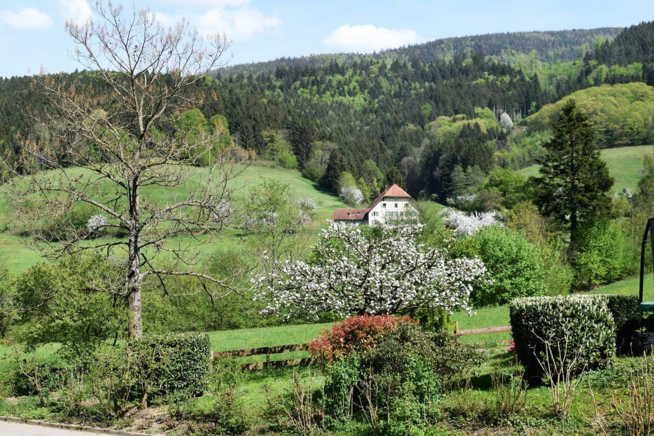 Ferienwohnung Im Dettenbachtal Waldkirch Εξωτερικό φωτογραφία